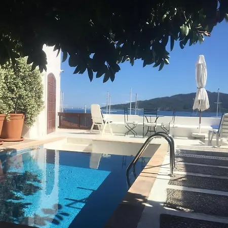 Castle81homes Yellow-sari , Sea View House