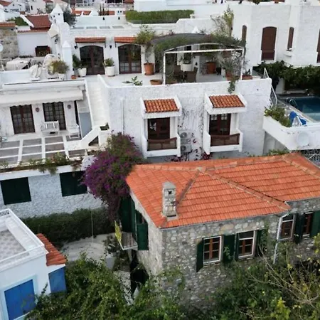 Castle81homes Yellow-sari , Sea View House *